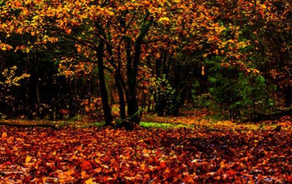 Seasonal storage: Autumn is upon us
